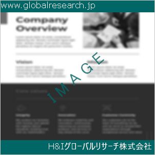 グローバルリサーチ調査資料のイメージ